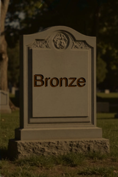 Bronze- Grave Stone Cleaning(one-time)